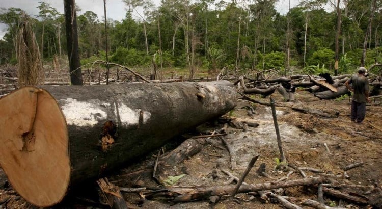 Lábrea tem o 4º maior índice de desmatamento na Amazônia em setembro. O primeiro é São Félix do Xingu (PA), seguido de Porto Velho (RO) e Altamira (PA). 