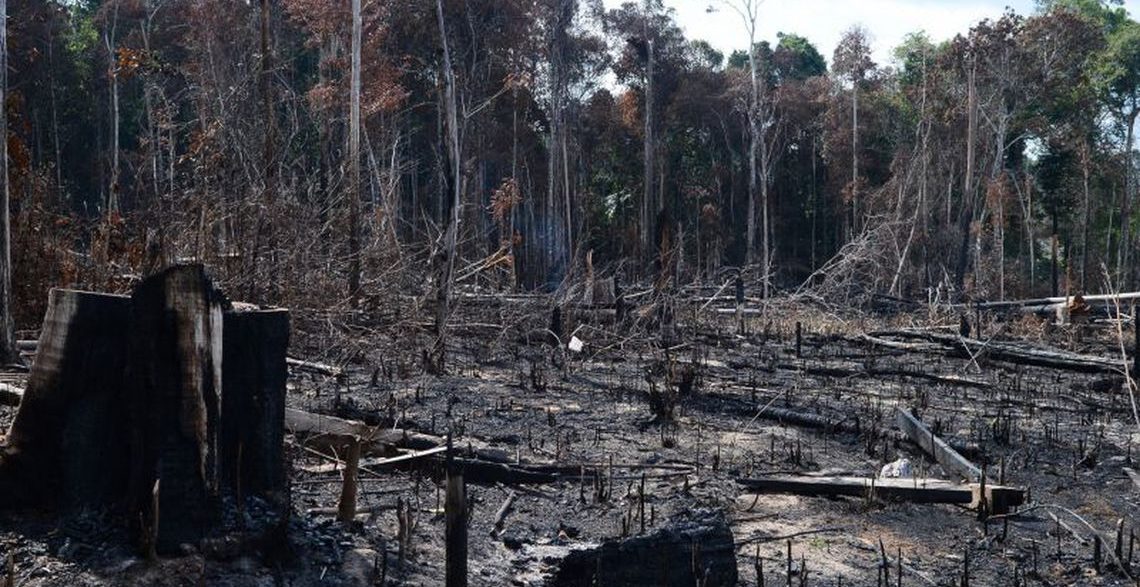 A taxa oficial do desmatamento na Amazônia, este ano, alcançou novo recorde e chegou a 11.088 km², o maior índice desde 2008.