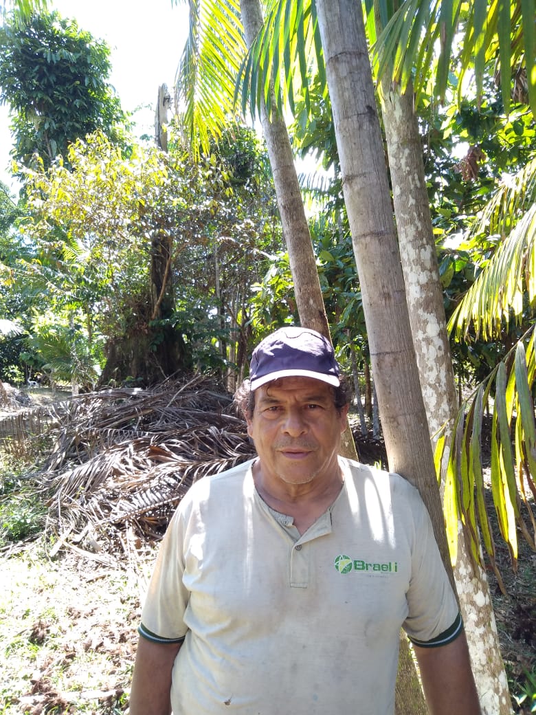 Os dados são do Sistema Nacional de Cadastro Ambiental Rural (Sicar) O Instituto de Proteção Ambiental do Amazonas (Ipaam) aponta que quase 90% dos proprietários rurais no Amazonas possuem até quatro módulos fiscais (área medida por hectare), e por isso fazem parte do perfil de produtor rural familiar.