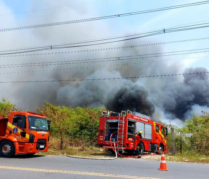 Foram registradas 206 incêndios em Manaus em Agosto/2023, enquanto no mesmo período de 2022, apenas 77 incidentes semelhantes foram atendidos.