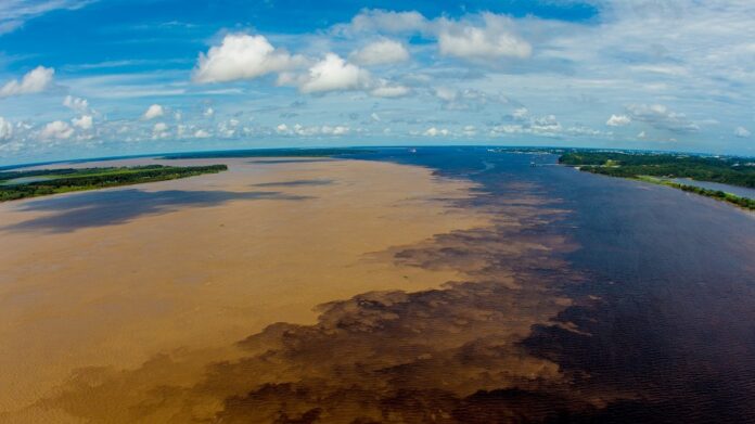 Um estudo publicado pela Fundação Oswaldo Cruz aponta relação entre rios de águas escuras e a proliferação do mosquito da malária.