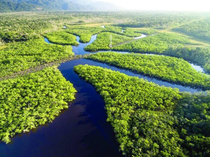 A região da Amazônia registrou neste sábado (20) o maior tremor de terra da história do Brasil.